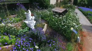 Wes Shaw Gardening - Bee Garden 5