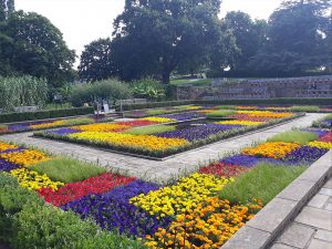 Wes Shaw Gardening - Lego Bedding 6