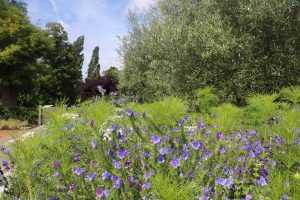 Wes Shaw Gardening - Meadows 2