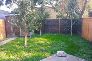 Wes Shaw Gardening - Meadows 5