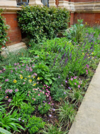 Wes Shaw Gardening - V&A